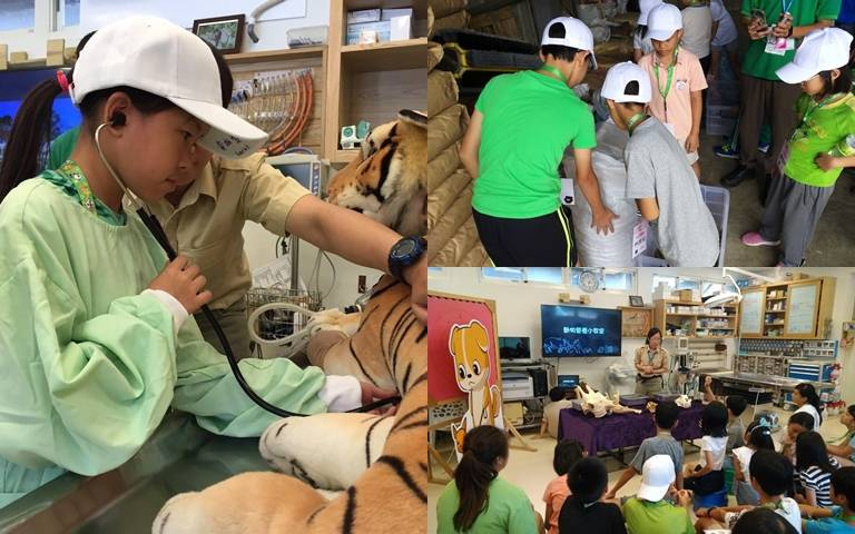 小朋友夏令營就來這!與水豚互動、替犀牛看診,再暢玩水陸雙樂園!