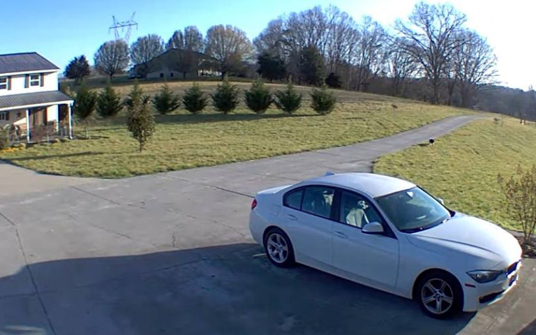 牧羊犬離家出走…結果職業病犯了！　主人隔天這景象傻爆眼