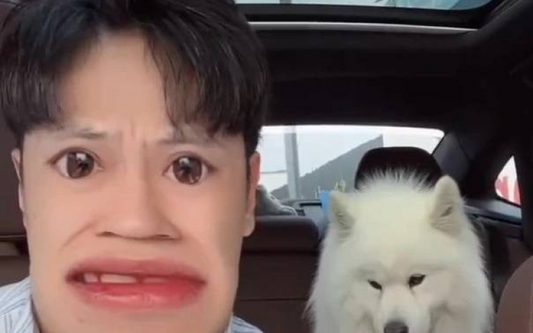 微笑天使笑不出來！飼主接愛犬「死活不上車」 快到家接電話傻眼：抱錯狗了