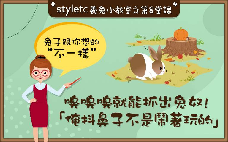 不聞則已、一聞驚人!可別小看「裝了馬達」的兔鼻,誰說只有狗的鼻子靈?