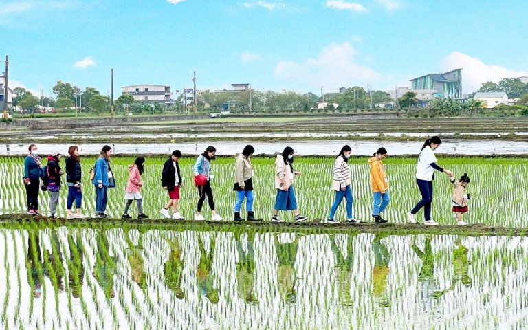 永續宜蘭輕旅行！發掘茶鄉、有機農場與傳統文化的魅力
