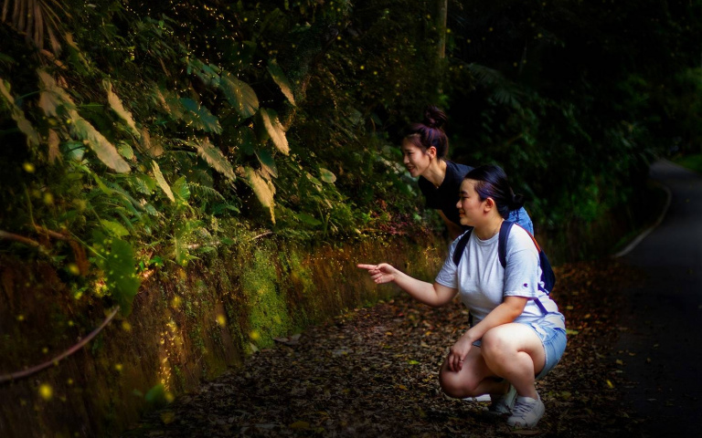 入住溫泉飯店送賞螢火蟲活動！還能享用夜宵和美人湯！