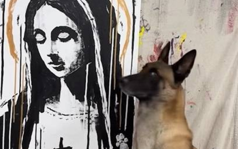 神狗Monkey畫工驚人！　網友一看作品：米開朗基羅再現