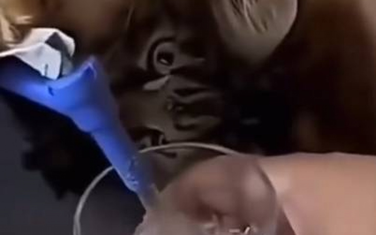 各種天才貓咪！成為主人小幫手　網嘆：我家的貓只會睡