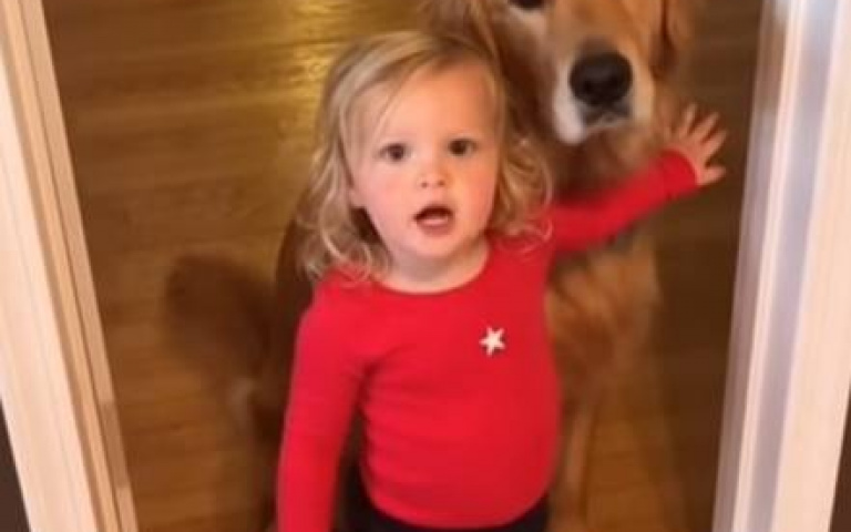 阿金捅婁子把廚房翻了　小女孩霸氣護犬：我幹的！