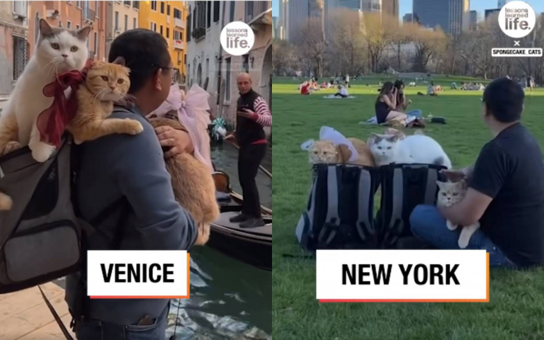 史上最幸福的貓！　被主人帶出門周遊列國超爽的