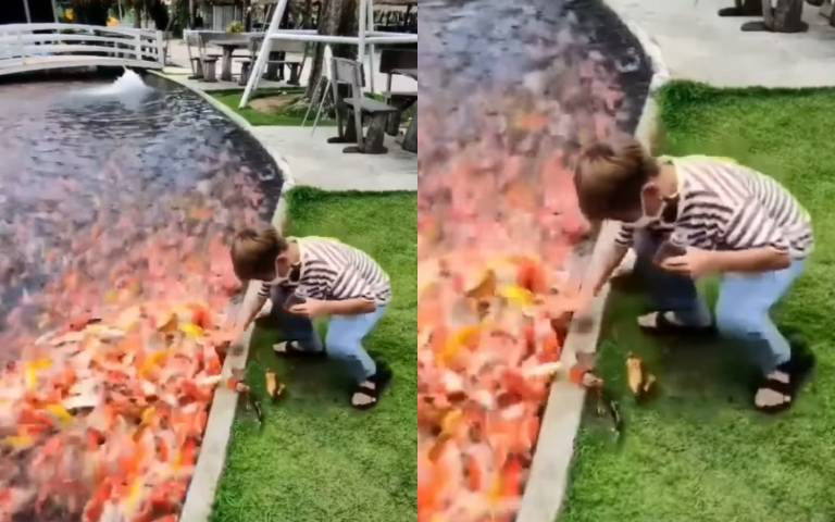 太餓了！鯉魚想搶弟弟餵食　竟激動魚躍到草地