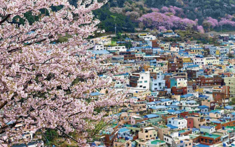 台北旅展春季展登場　強打韓國鎮海賞櫻、澎湖花火節獨家貴賓席