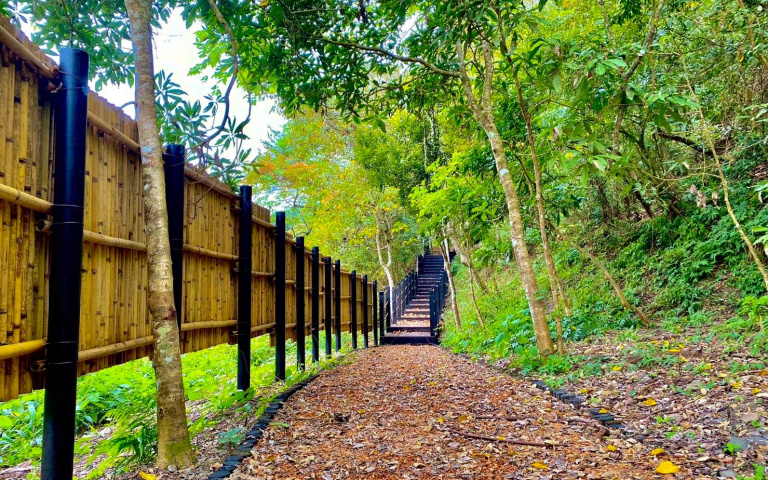 來跟巨人握手！台中最新「失落秘境」公開　超大石虎在路上遊客搶拍