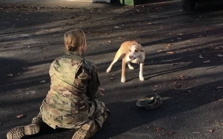 確認過眼神！狗狗認不得當兵回來女主人　擁抱後激動不已
