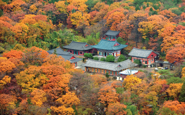 韓國紅葉預測出爐  把握10月底全盛期、賞楓啖美食