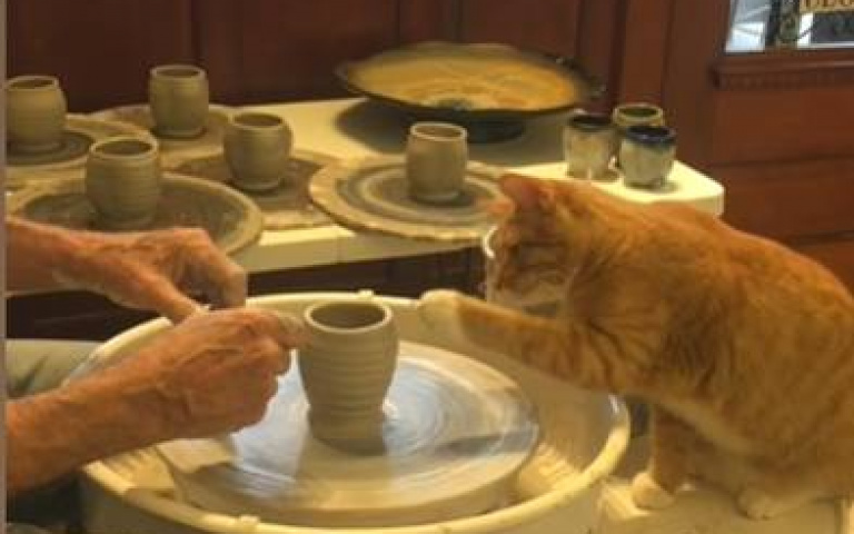 這你也略懂？貓咪協助主人製作陶器　一出爪展現驚人才華