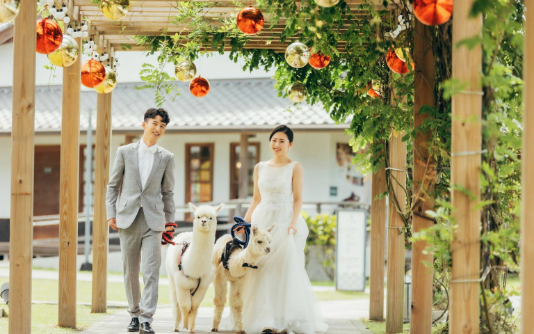 羊駝化身證婚人!知名飯店夢幻「戶外婚禮」坐擁蘭陽平原絕美景色,還有「羊駝」見證愛情!