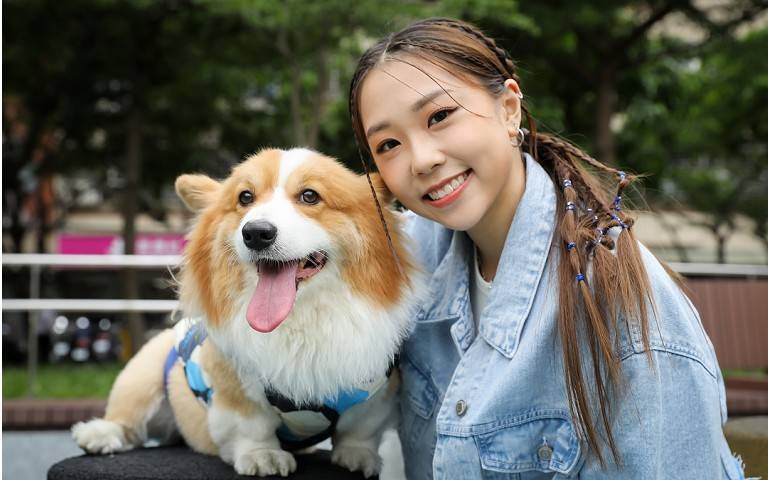 寵物情緣／艾薇砸10萬求來台同居　先斬後奏共譜「柯基」情