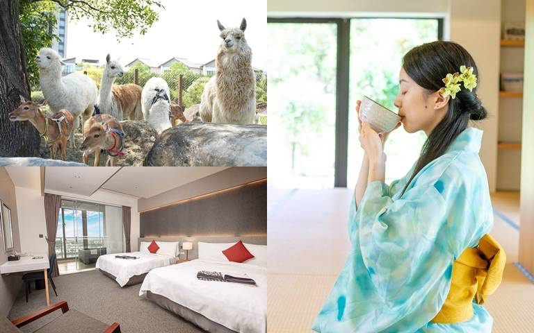 住了不想走！飯店跨年優惠，浴衣、日式抹茶製作體驗，還能與羊駝、水豚互動！