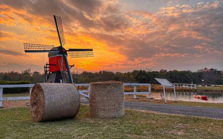 台南荷蘭村打造連假限定鬱金香迷宮　歐洲小鎮美如童話好遛小孩又好拍