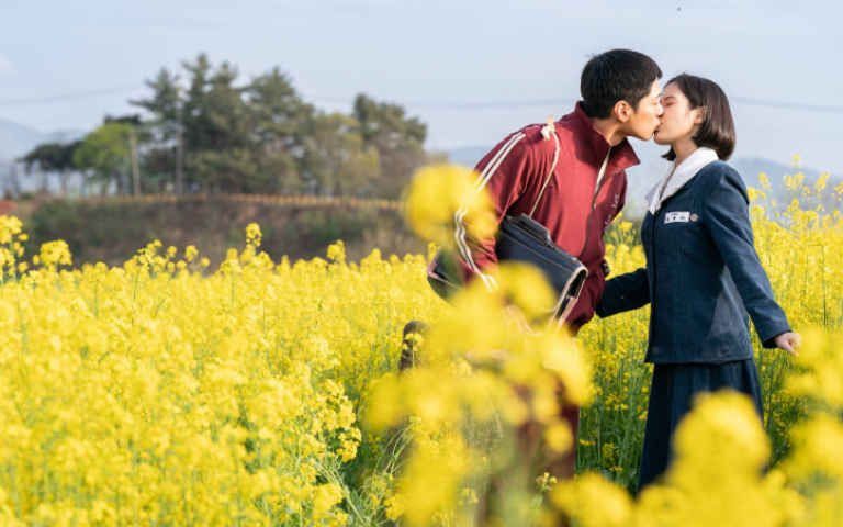 影爆點／神劇《苦盡柑來遇見你》，IU、朴寶劍共同譜寫最溫柔的時代之書