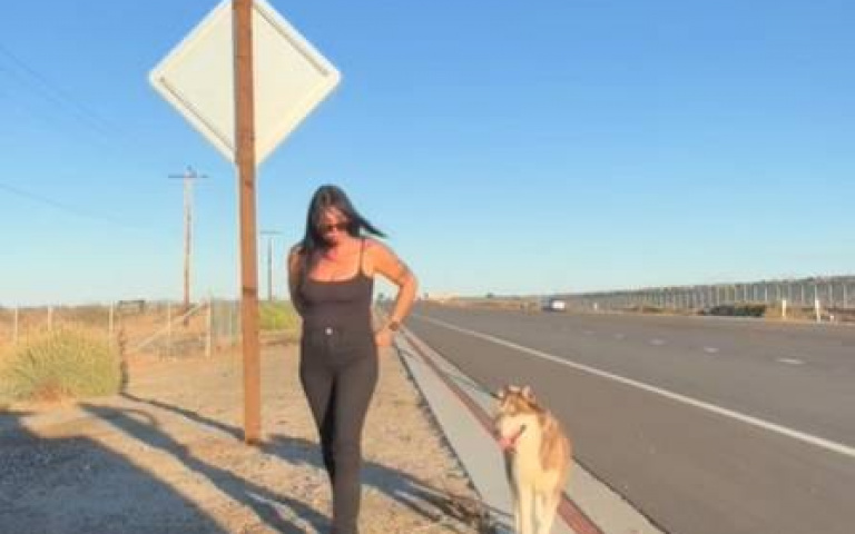 高速公路上竟出現一隻流浪狗　她用「耐心+愛心」成功讓牠上車