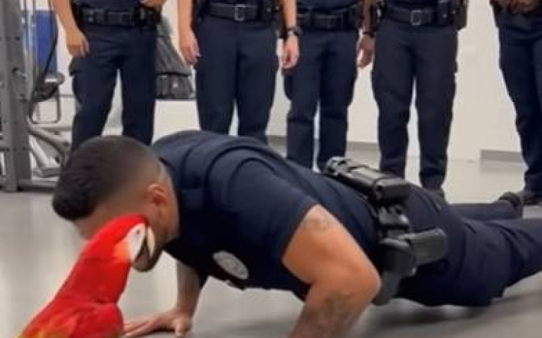 這鸚鵡應該有當過班長　戲耍警官全網笑翻