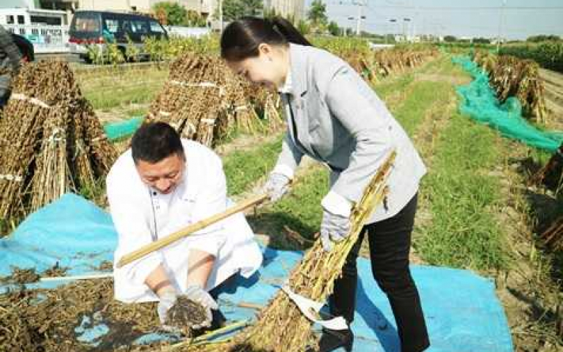 當季在地食材最鮮　西港胡麻入菜「烏骨雞、蝦蟹鍋」冬令進補好滋味