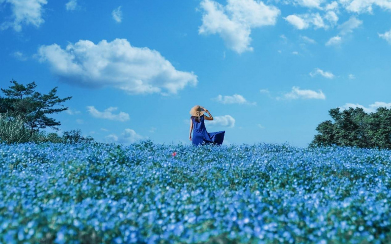 推薦東京三處賞花勝地！粉蝶、杜鵑花海，還能與晴空塔同框入境！