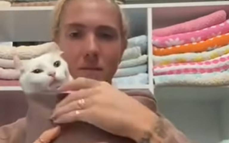 這也太聰明！一招教你輕鬆帶貓外出　近4百萬人圍觀