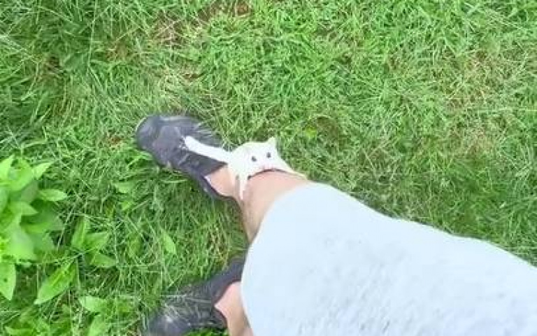 從小奶到大的蜜袋鼯野外放風！翱翔天際畫面曝　網友警示：小心老鷹