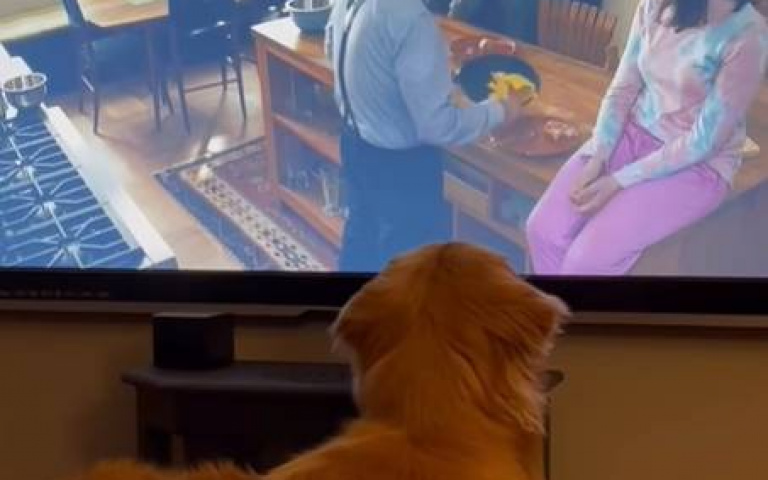 電視機裡有人在煎蛋　阿金流口水：我怎麼吃不到？