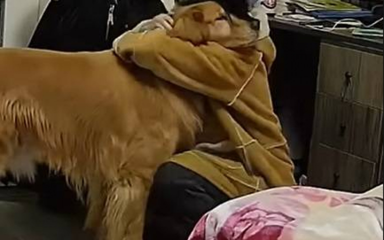 飼主受委屈躲房偷哭！阿金察覺異樣「溫柔守護」 主人感動緊抱：牠什麼都懂