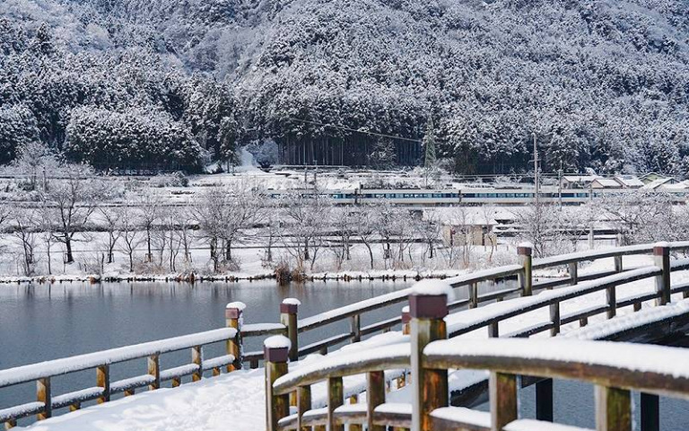 滋賀縣高島市冬日私房雪景大公開 湖上鳥居IG、白雪覆蓋水杉林美翻