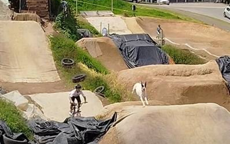 極限車手「攜伴」訓練！　一次滿足萌寵兩個願望