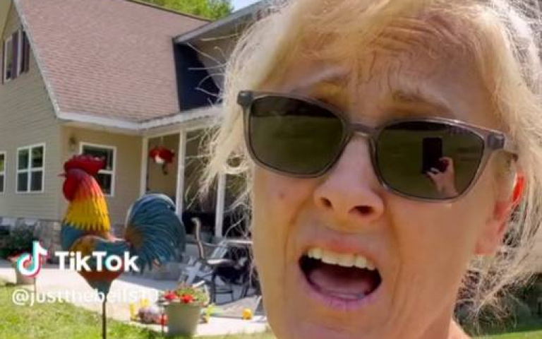 「養雞大戰」開始！雞群變小跟班影片成流行　她卻逆風：我的雞是情人