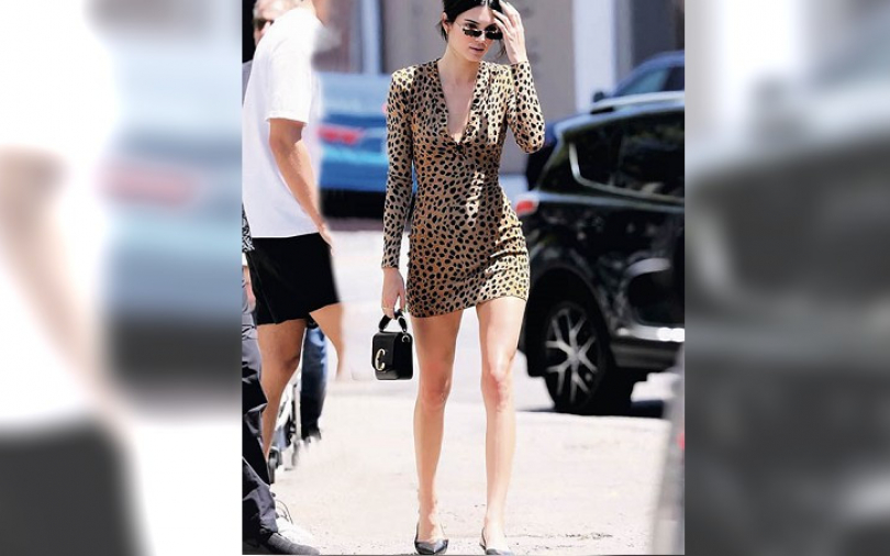 Kendall Jenner　性感大豹發