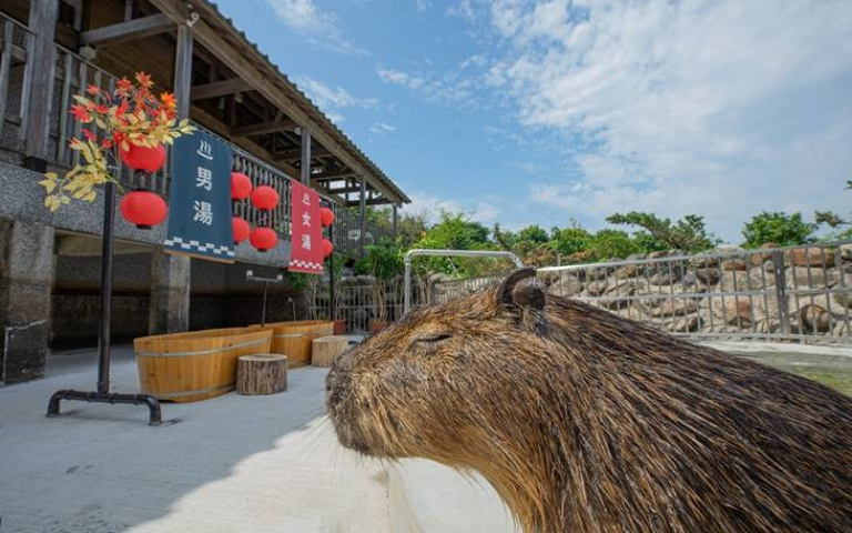 省荷包攻略!GOMAJI成為旅行神隊友,兩百多檔旅遊行程、餐券限量搶!