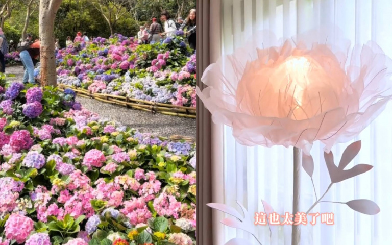 春日限定!繡球花、黃花風林木超夢幻,創意花藝顛覆想像!