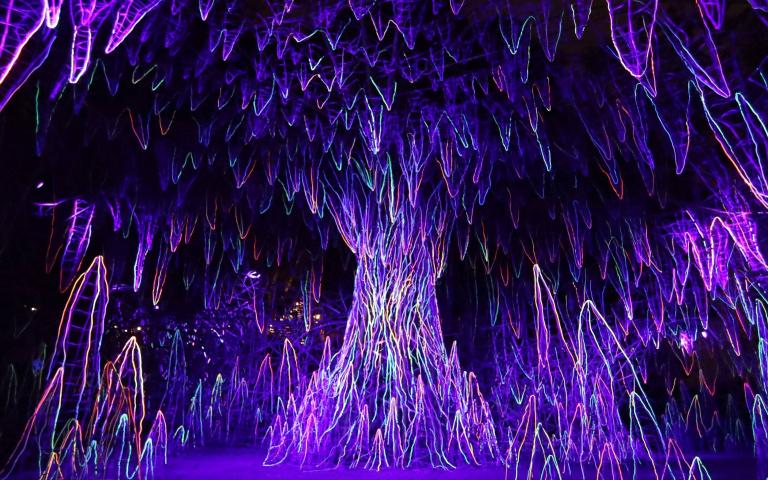 2021龍崎空山祭1／跟著龍崎三鼠冒險　13組夢幻空靈作品　必拍焦點搶先看