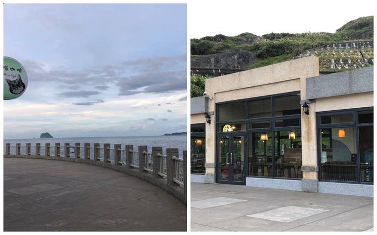 貓奴注意！「喵喵咖啡」兼遊客服務站，看海還有貓界最帥F4陪你