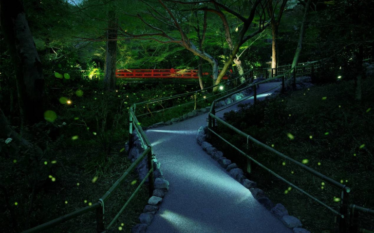 東京賞螢景點大公開！絕美庭園、溪谷與祭典一次收錄，點亮夏天夢幻時刻！