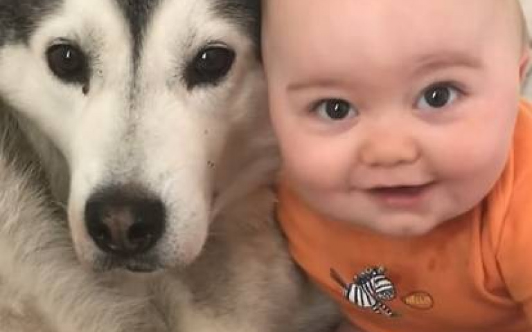 哈士奇陪伴男孩7年！　從出生到長大成人「如今功成身退」