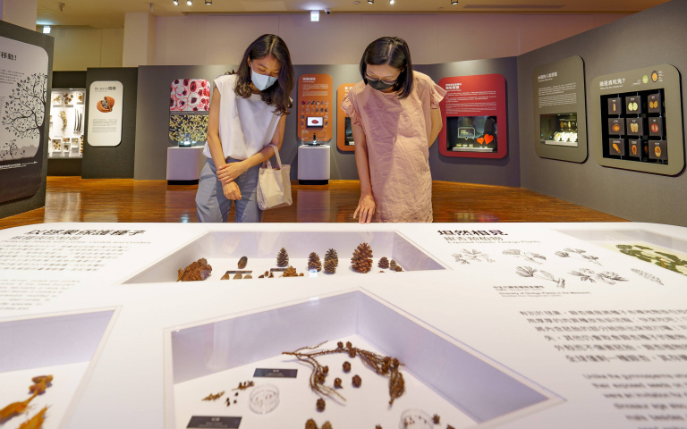 臺博館線上開箱新展　逾百幅種子數位影像　開放創用CC授權