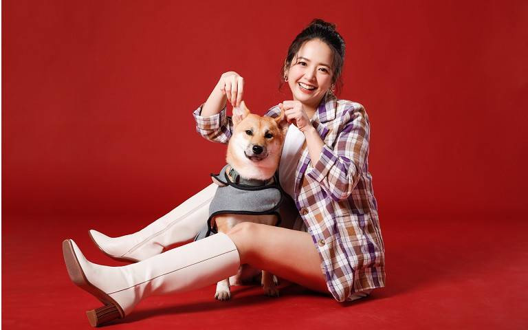 寵物情緣/柴犬白色腳腳被當凶兆送養 臧芮軒母愛爆棚從狼犬口中救兒