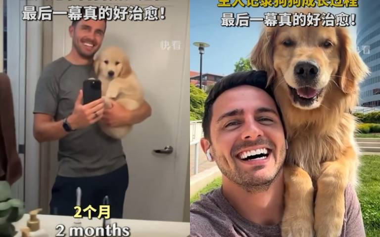 紀錄阿金從2個月到1歲！　每兩個月拍一次片「牠變超大隻」