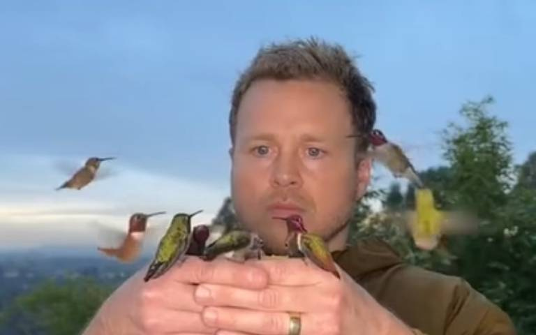 救援一隻蜂鳥! 大叔人生出現意外驚喜