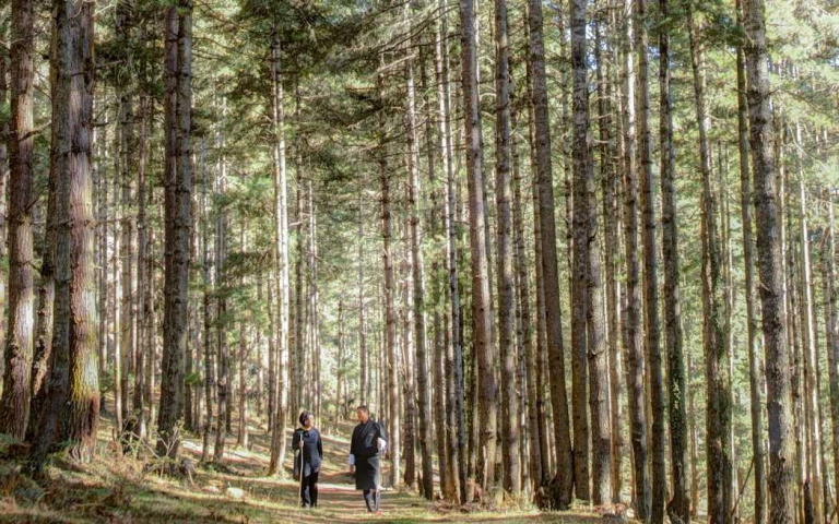 奢華酒店推五行體驗　先筆記下來　疫後養生出遊來這裡