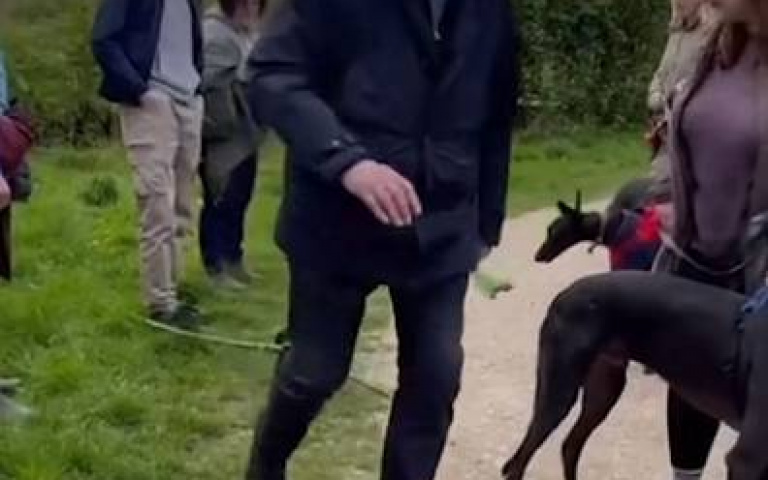 臘腸犬叼著棒狀物橫行 臉皮超厚主人連忙替牠說抱歉