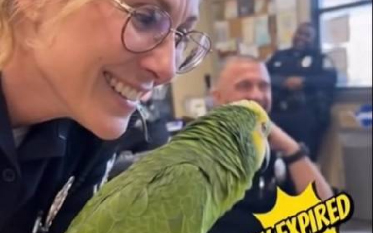 這隻鸚鵡超不會做人！　女警主動求婚…牠卻回：妳超齡了