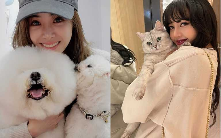 狗奴貓奴必看!Lisa、Jolin這些女神跟毛小孩們的超甜賣萌照 實在太圈粉啦~