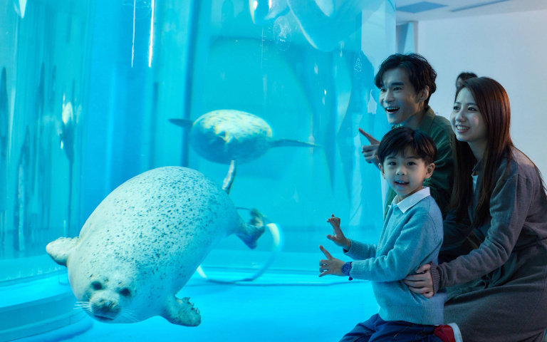 海洋調查員出動！Xpark限時「調查筆記」活動，結合插畫、文字探討大海奧秘！