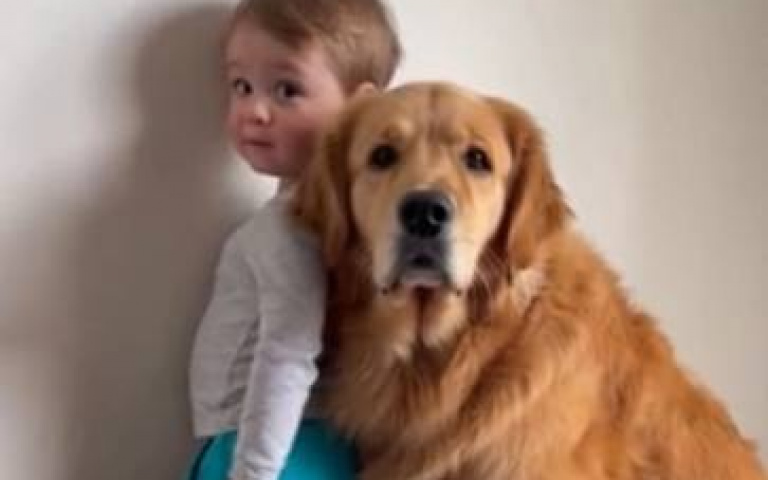 男孩被媽媽要求面壁思過！　原來把「整箱零食」全送阿金吃