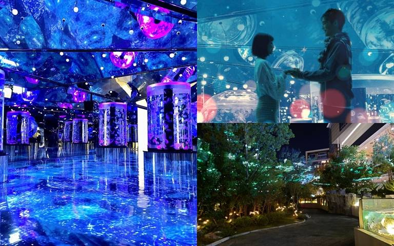 企鵝幫你告白？Xpark冬季戀愛物語，漫步螢光叢林，購票贈表白神器！